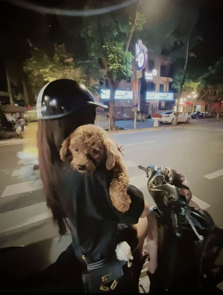 MEGATOTO x DEWI11